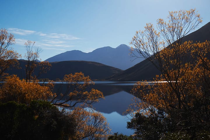 Photo of Lake Pearson, South Island, New Zealand, through the trees to the mountains